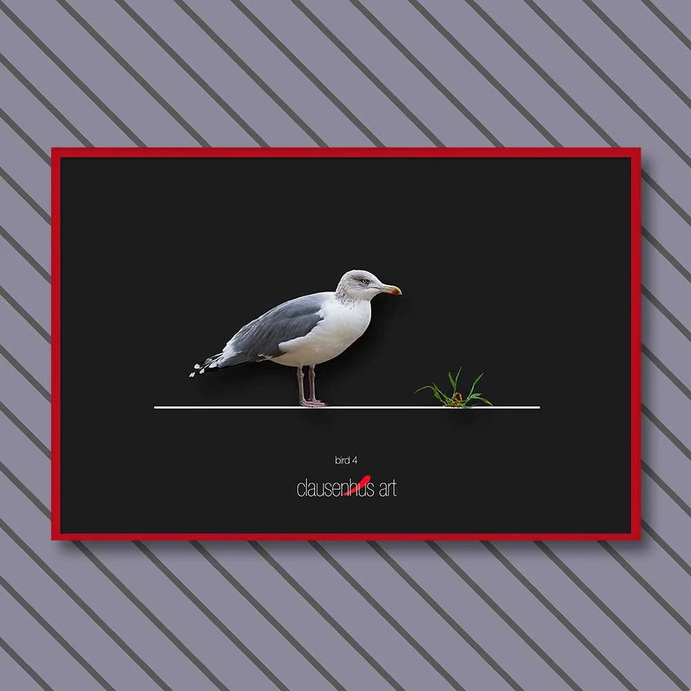 bird-4-copy.jpg