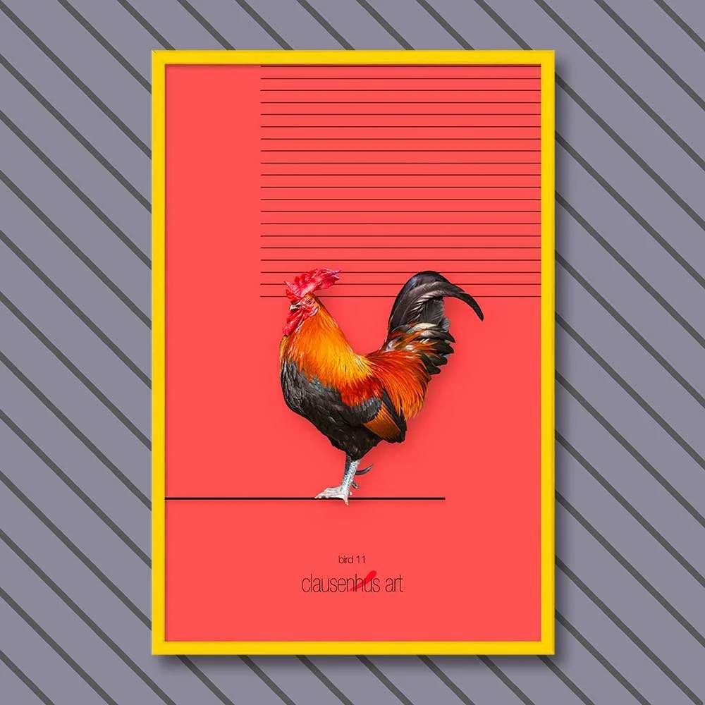 bird-11-copy.jpg