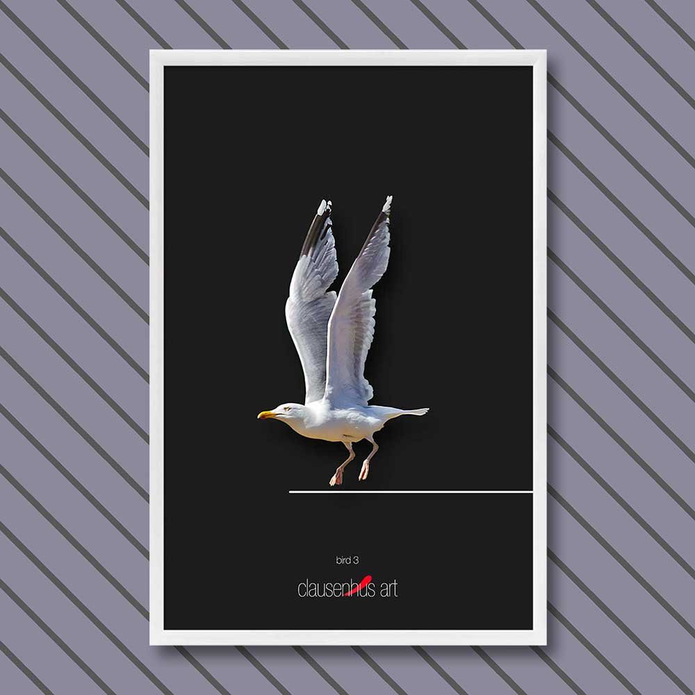 Titel: Vogel 3 (grafische Linie)
