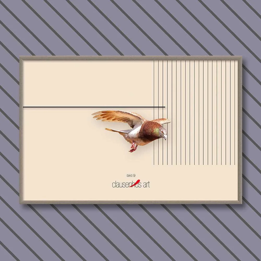 bird-9-copy.jpg