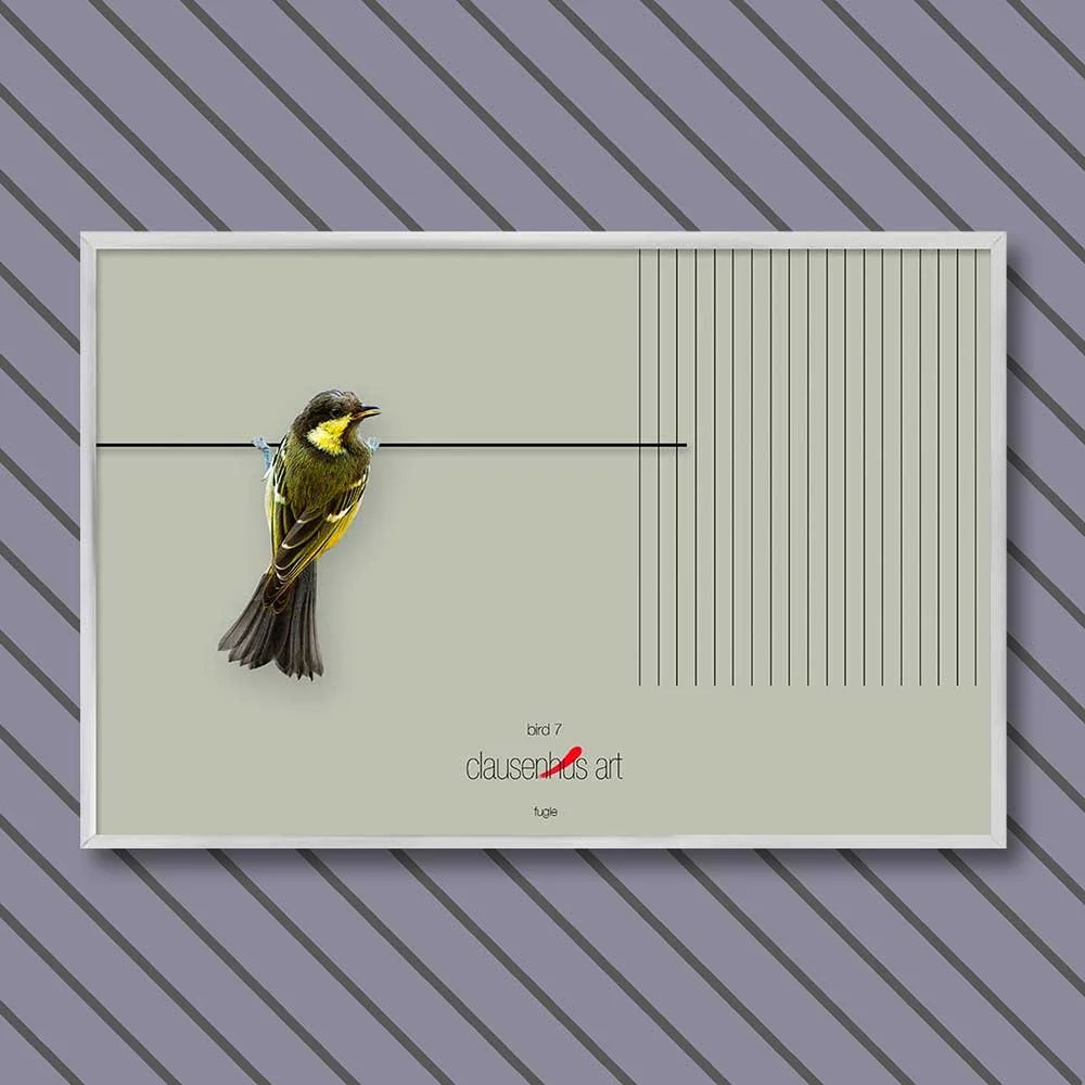 bird-7-copy.jpg