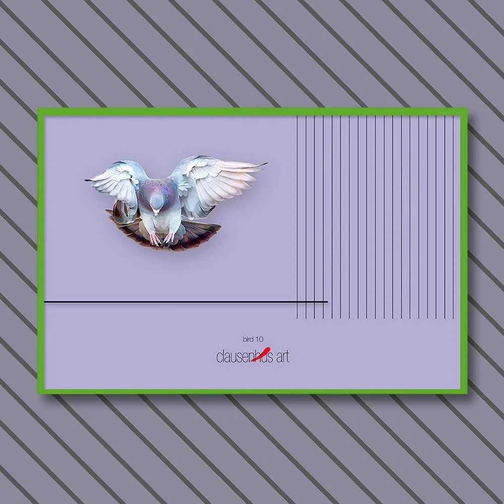 bird-10-copy.jpg