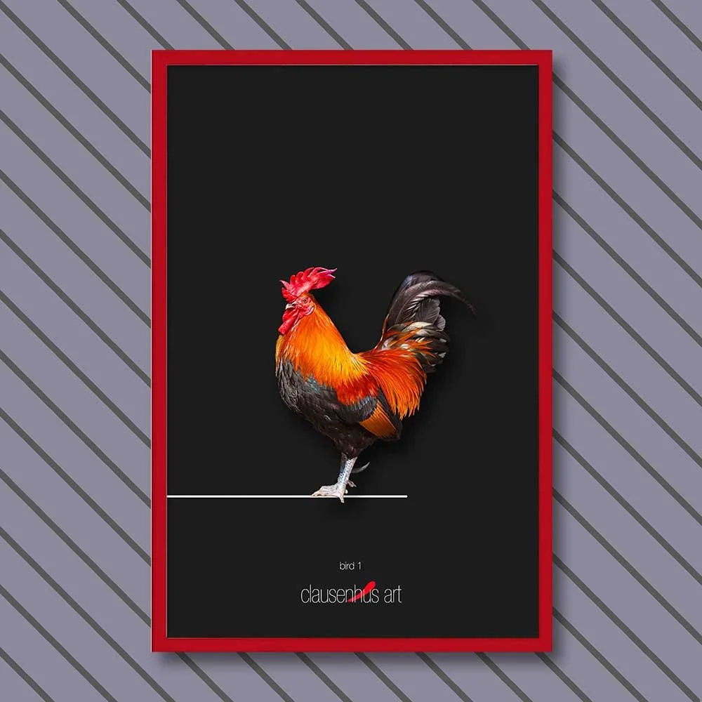 bird-1-copy.jpg