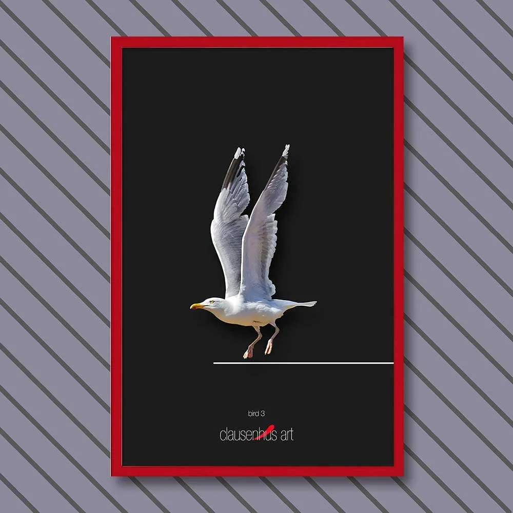 bird-3-copy.jpg