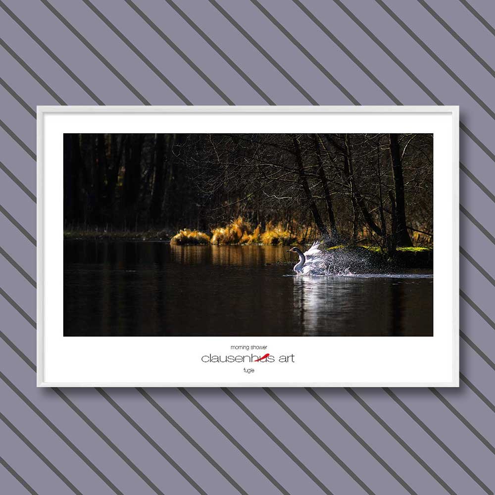 Titel: Morgendusche (grafische Linie)