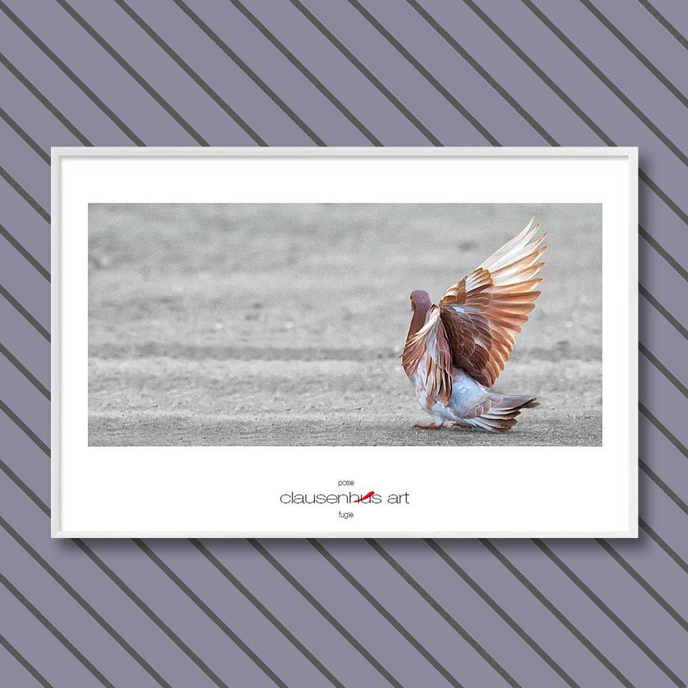 Titel: Pose (grafische Linie)