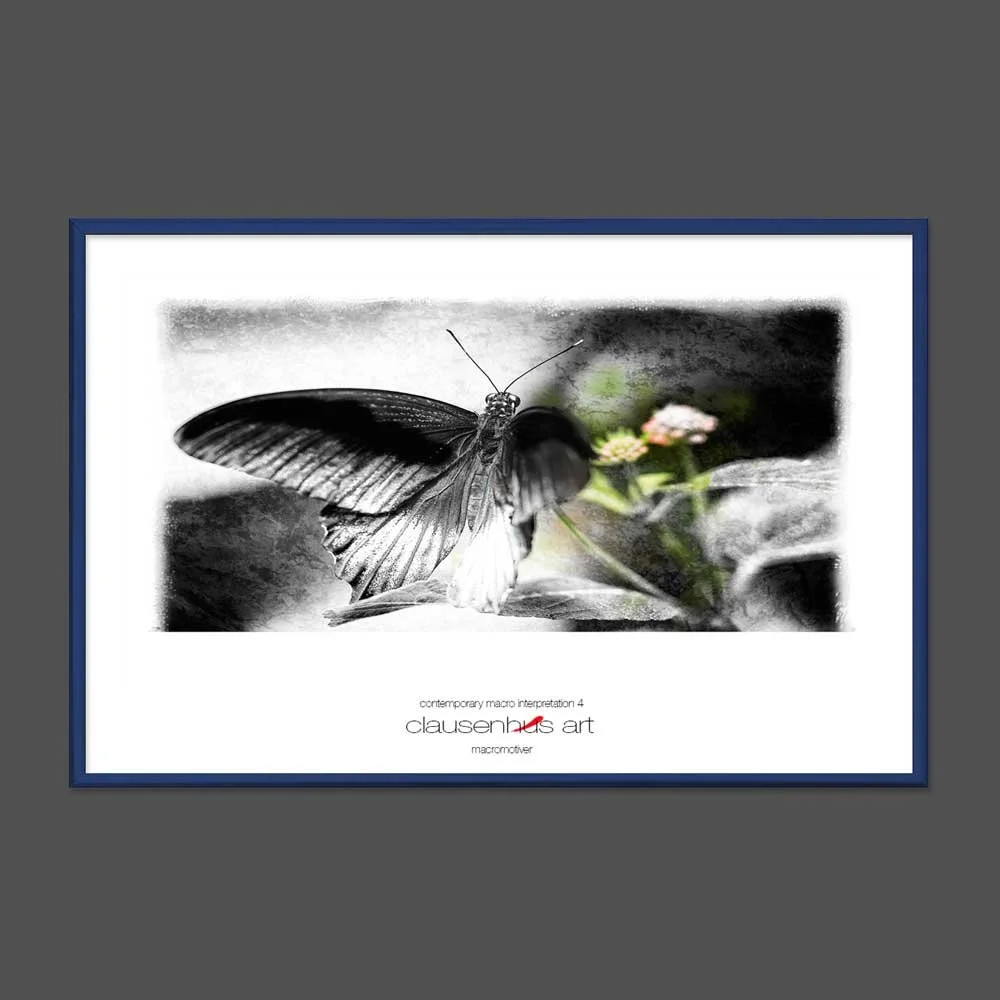 contemporary-macro-interpretation-4-copy.jpg