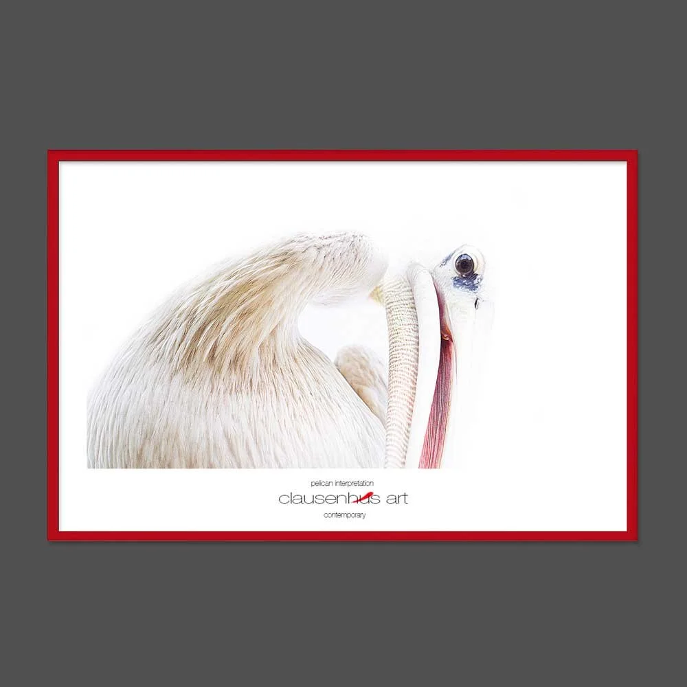 pelican-interpretation.jpg