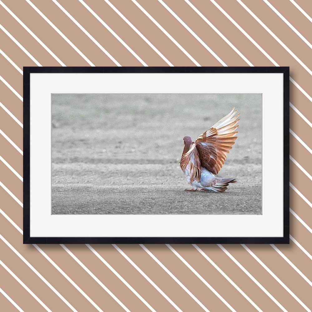titel: pose