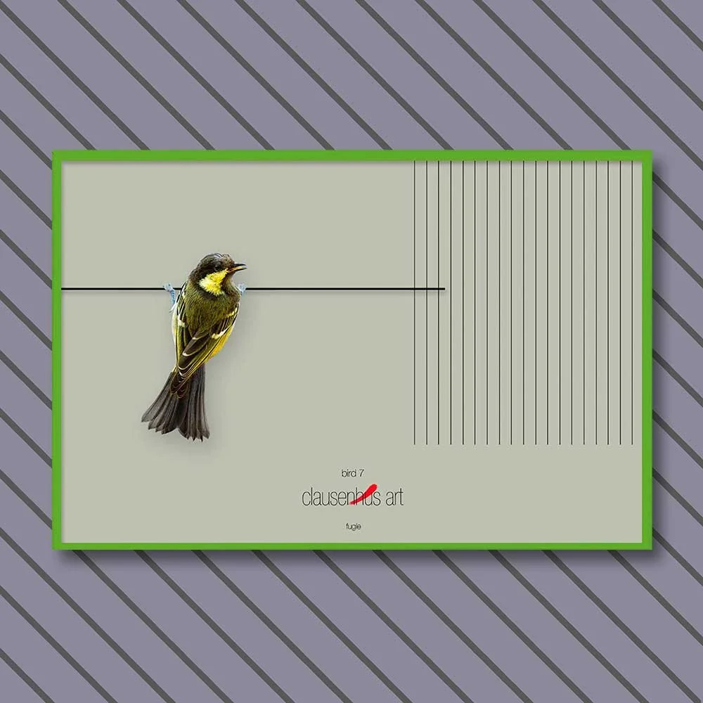 bird-7-copy.jpg
