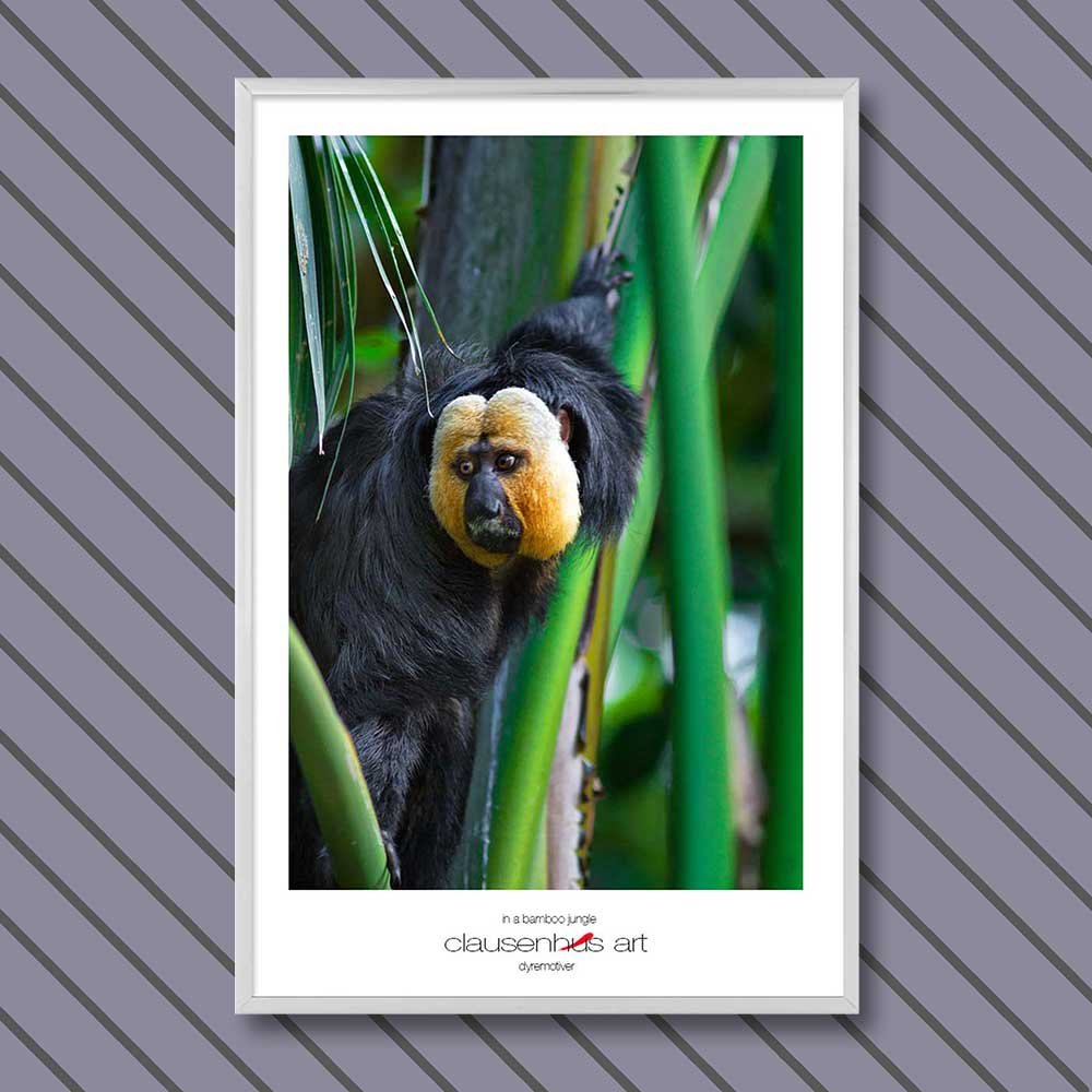 in-a-bamboo-jungle-copy.jpg