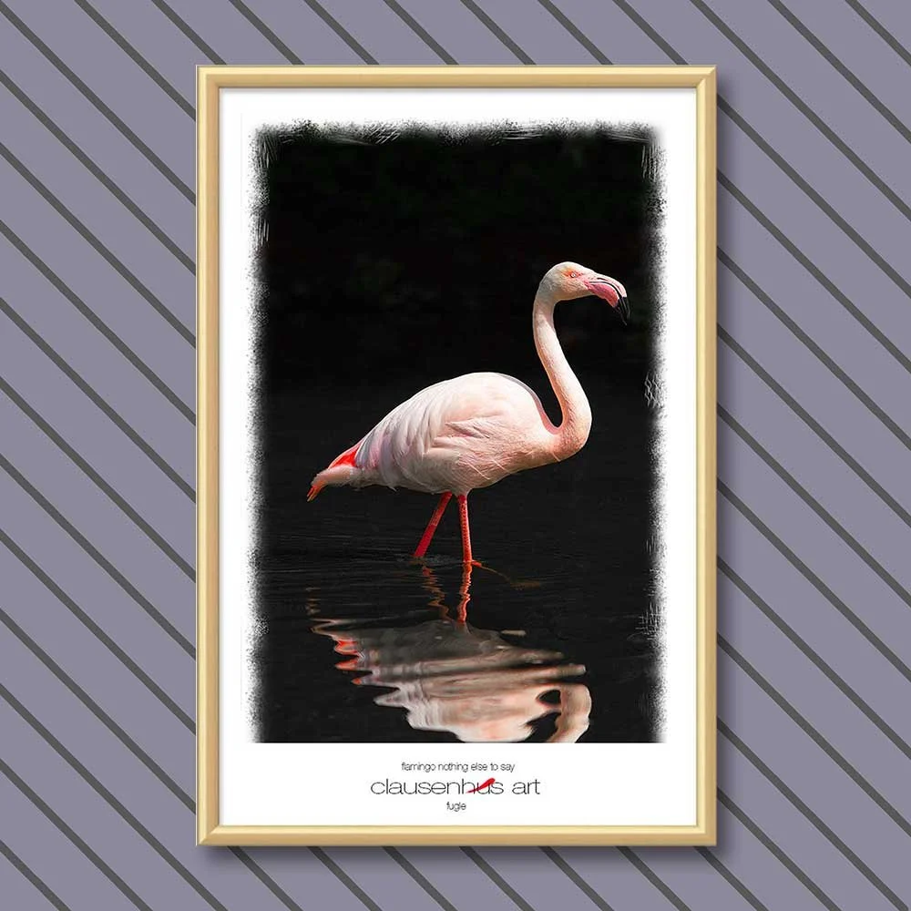 flamingo-nothing-else-to-say.jpg