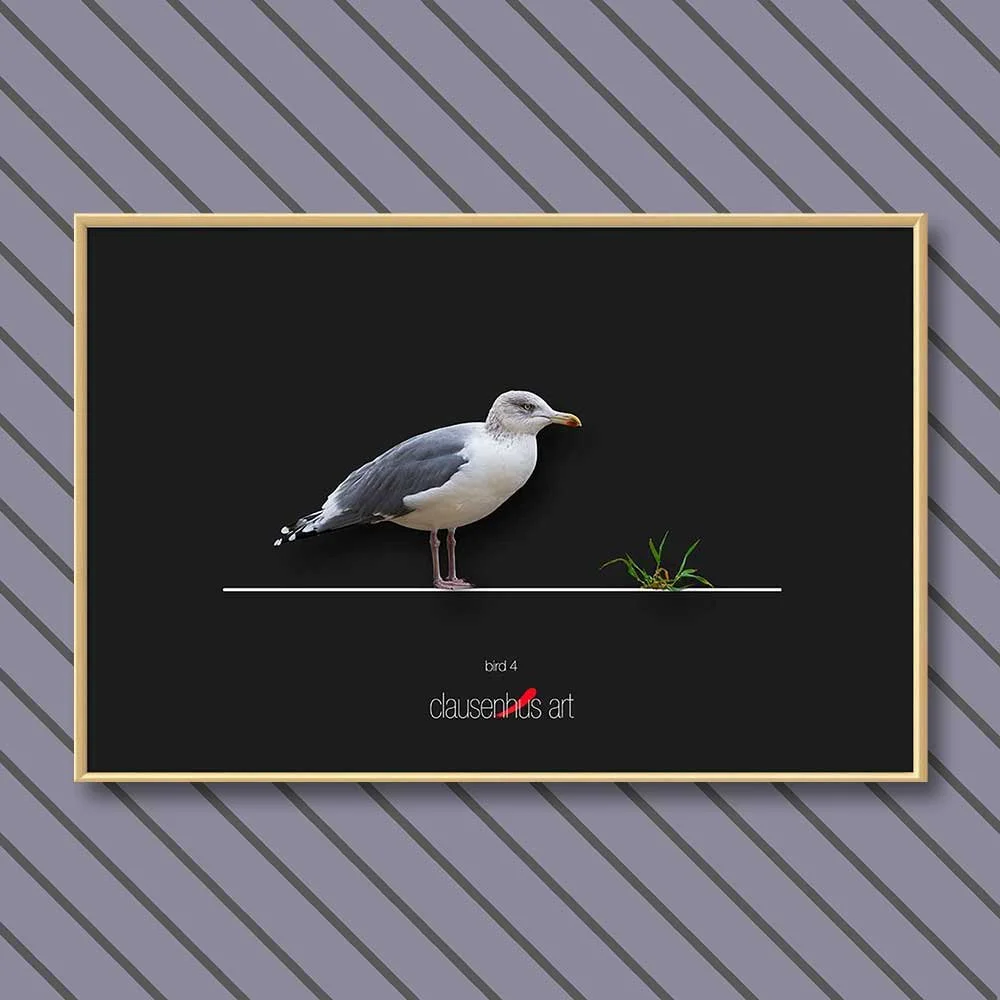 bird-4-copy.jpg