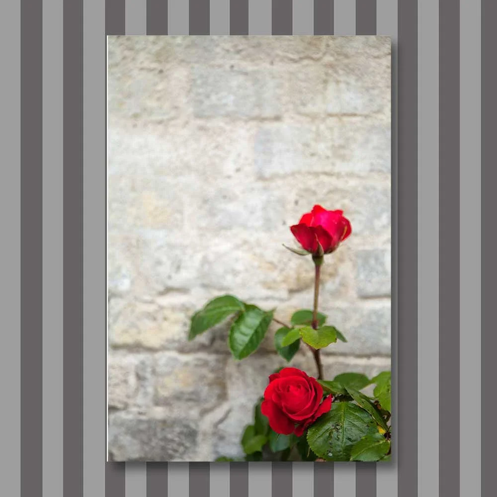 Titel: Die Mauer (Leinwand)