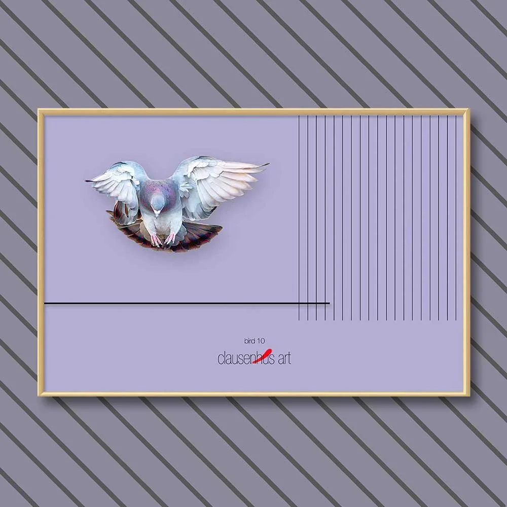 bird-10-copy.jpg