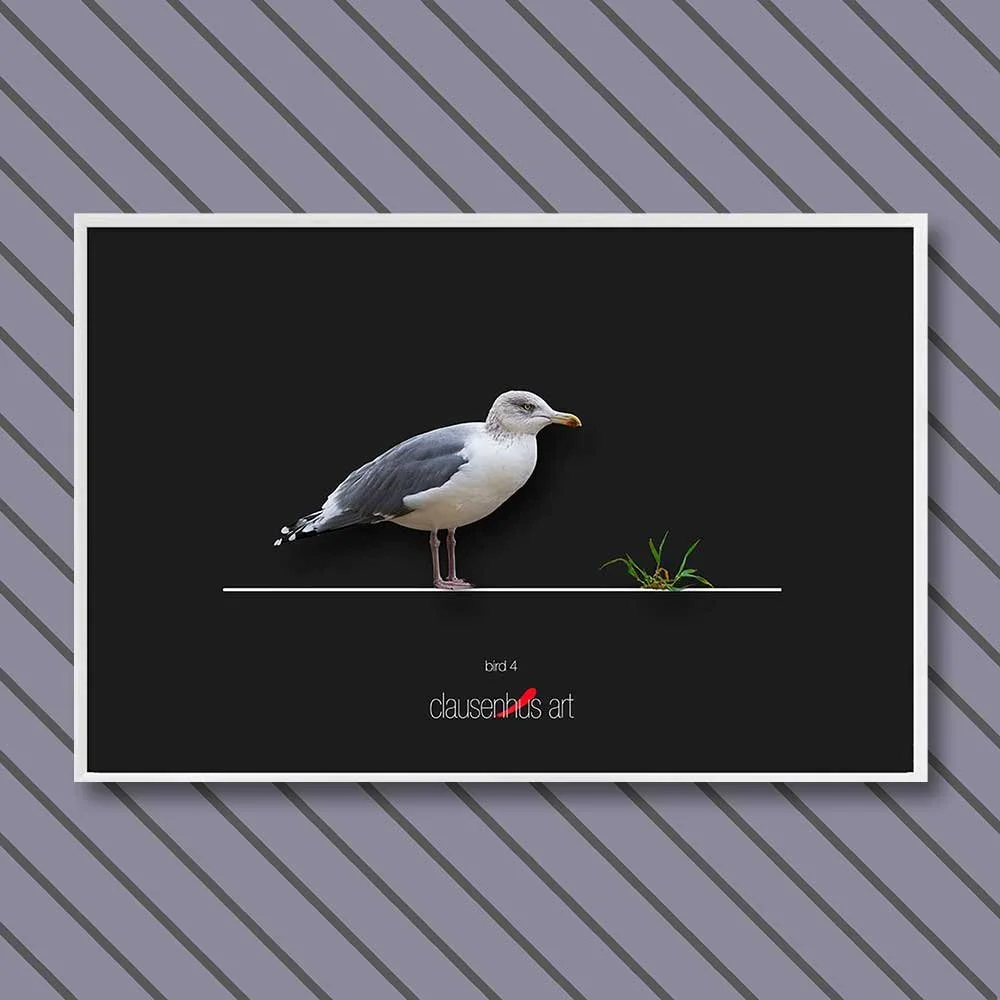 Titel: Vogel 4 (grafische Linie)