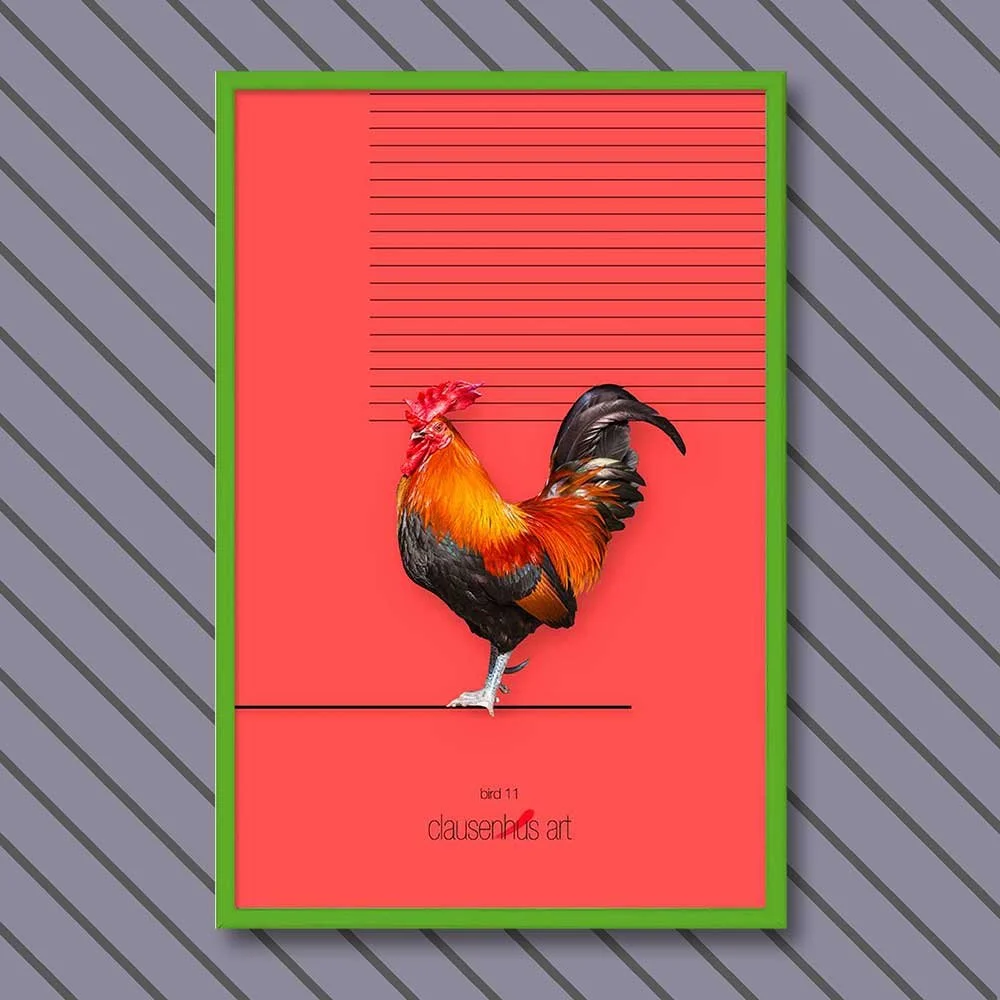bird-11-copy.jpg