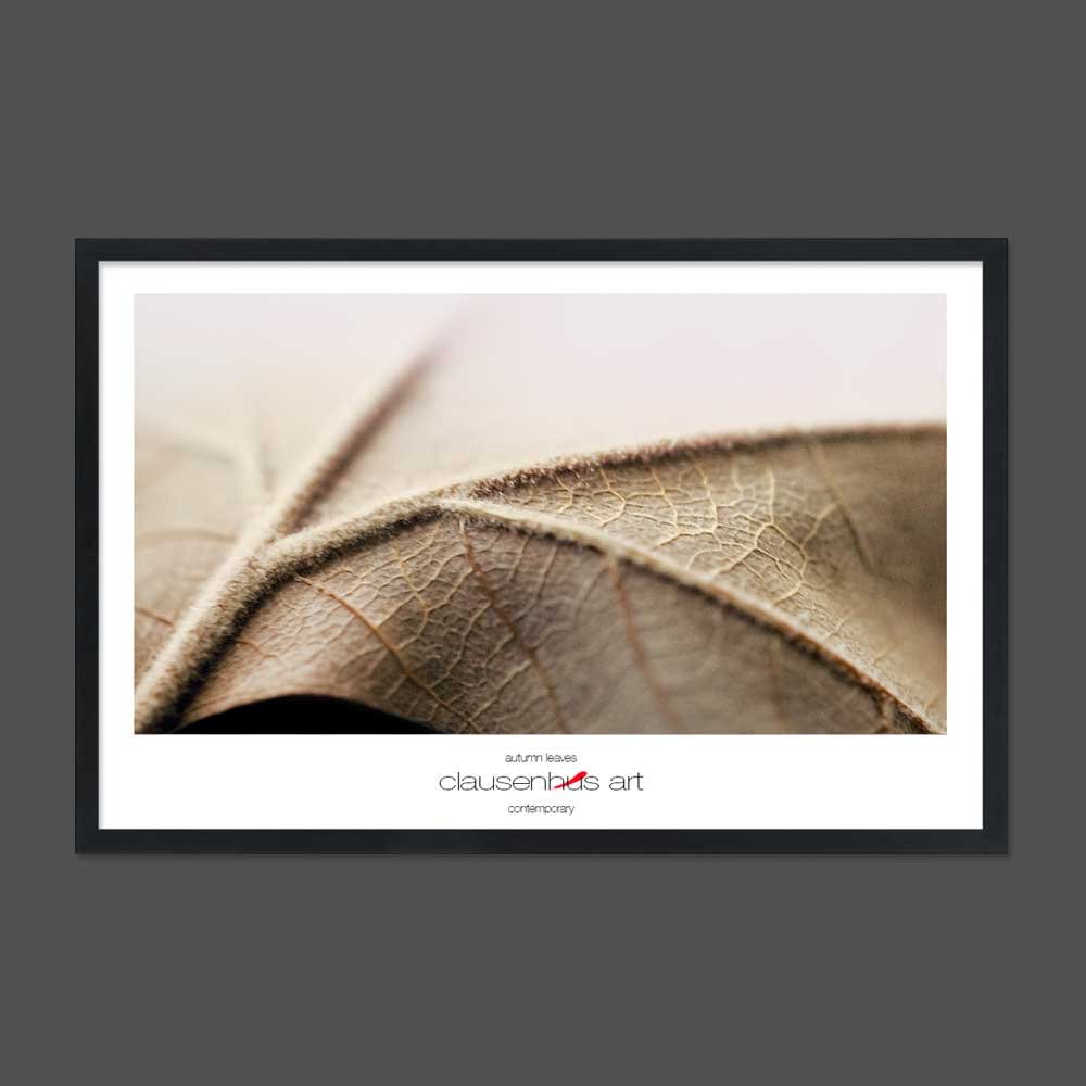 autumn-leaves.jpg