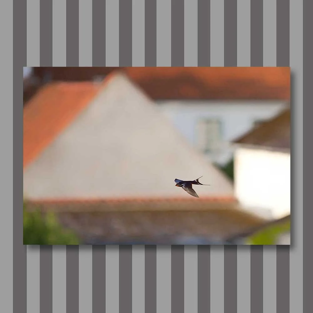 Titel: schwer zu fassen (Leinwand)