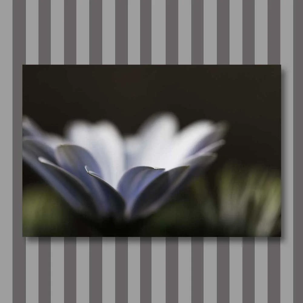 Titel: Blumenschale (Leinwand)