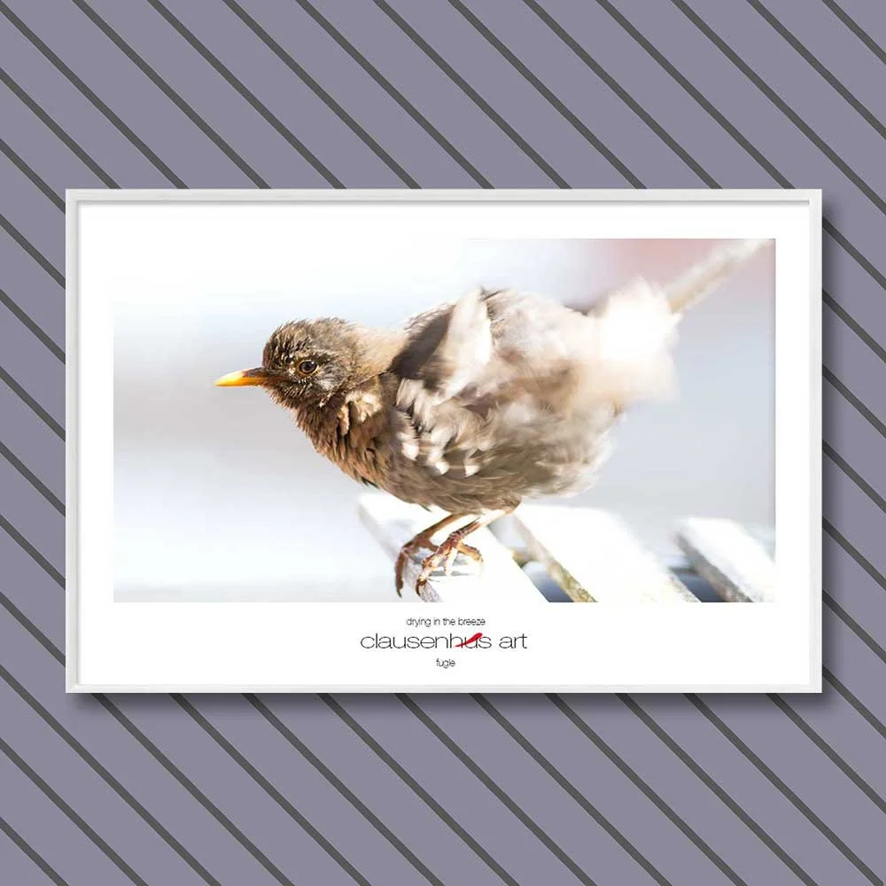 Titel: Trocknen im Wind (grafische Linie)