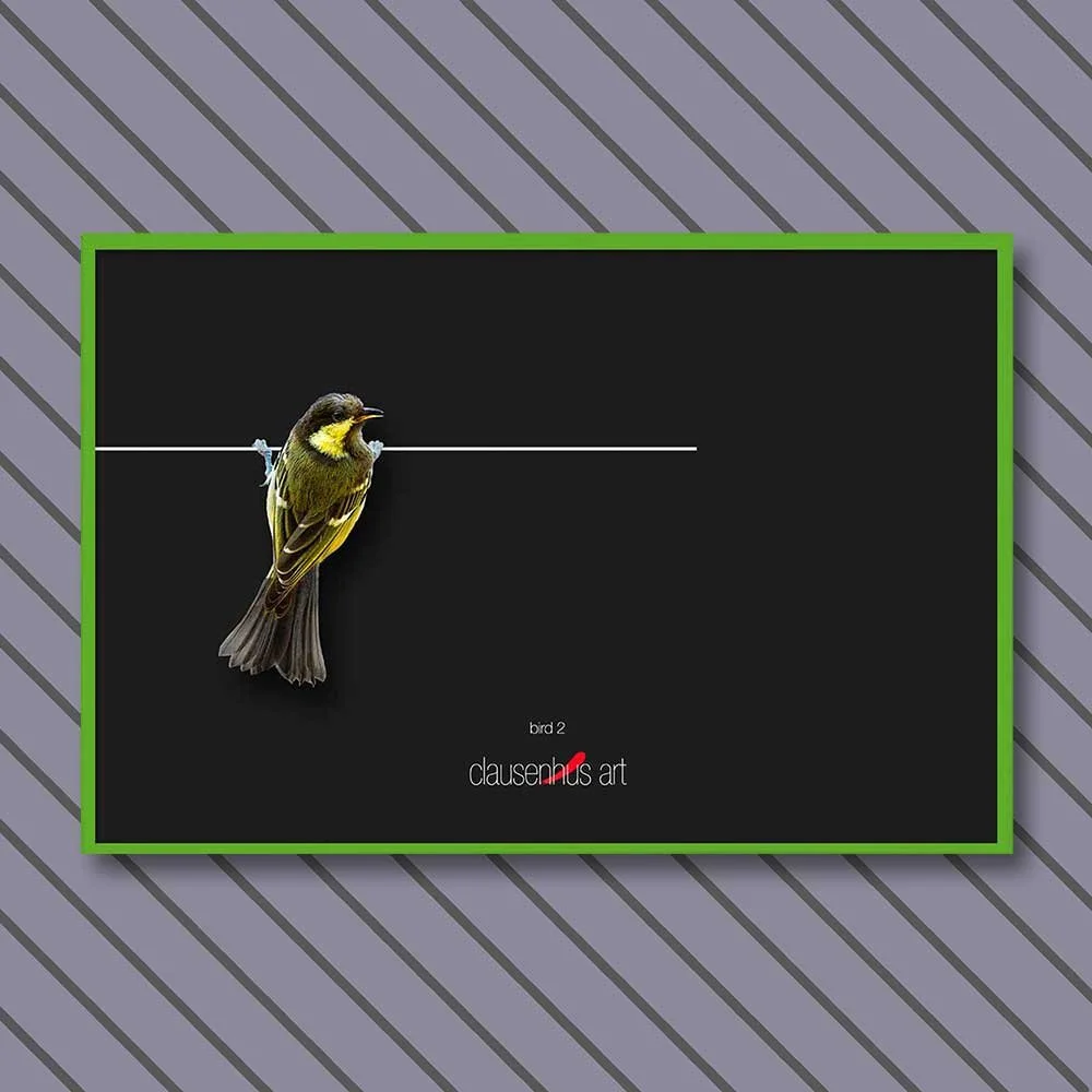bird-2-copy.jpg