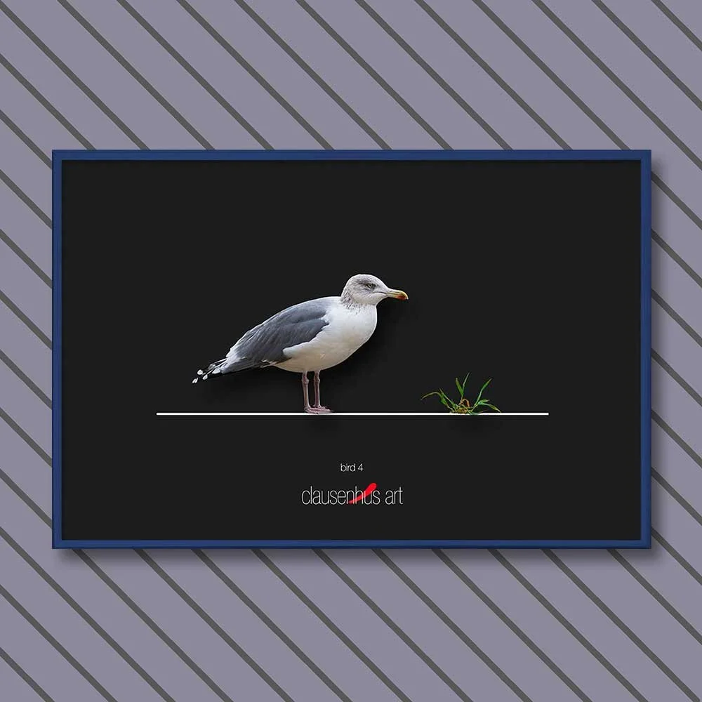bird-4-copy.jpg