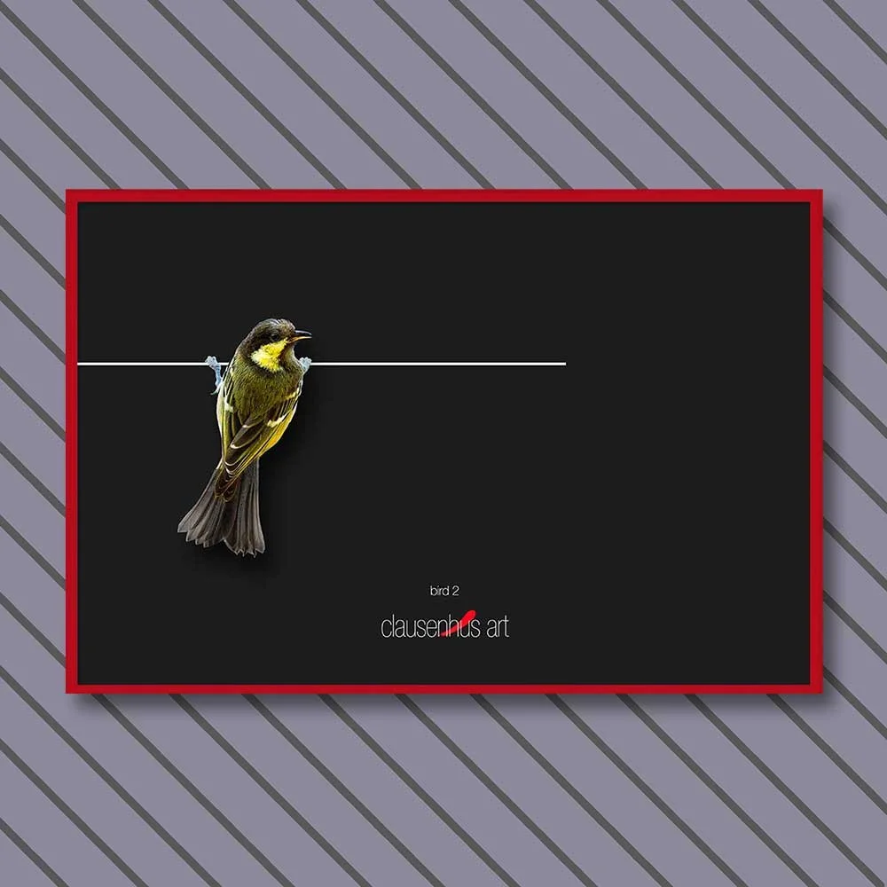 bird-2-copy.jpg