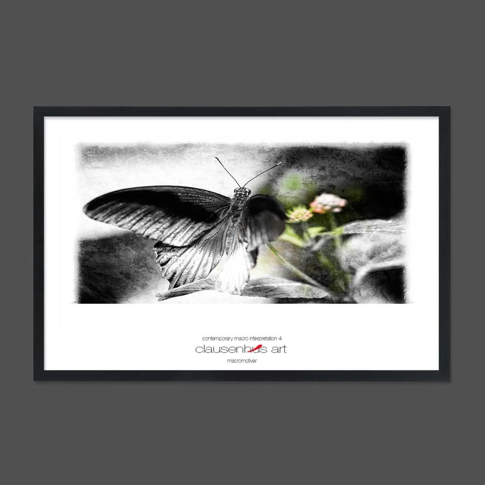 contemporary-macro-interpretation-4-copy.jpg