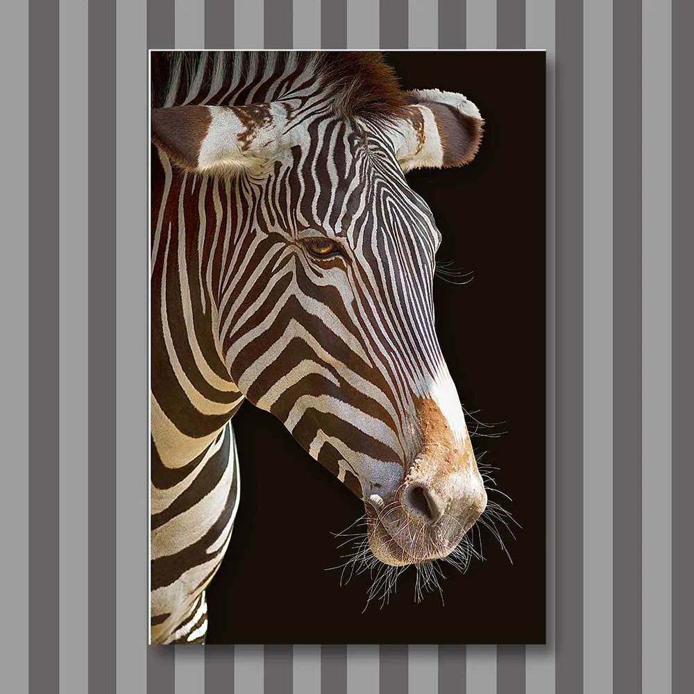 Titel: Zebra 3 (Leinwand)