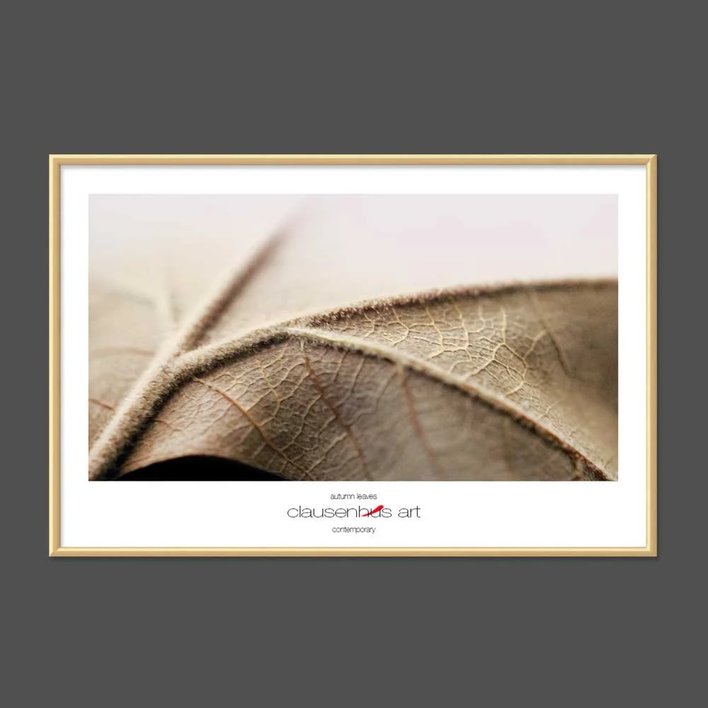 autumn-leaves-copy.jpg
