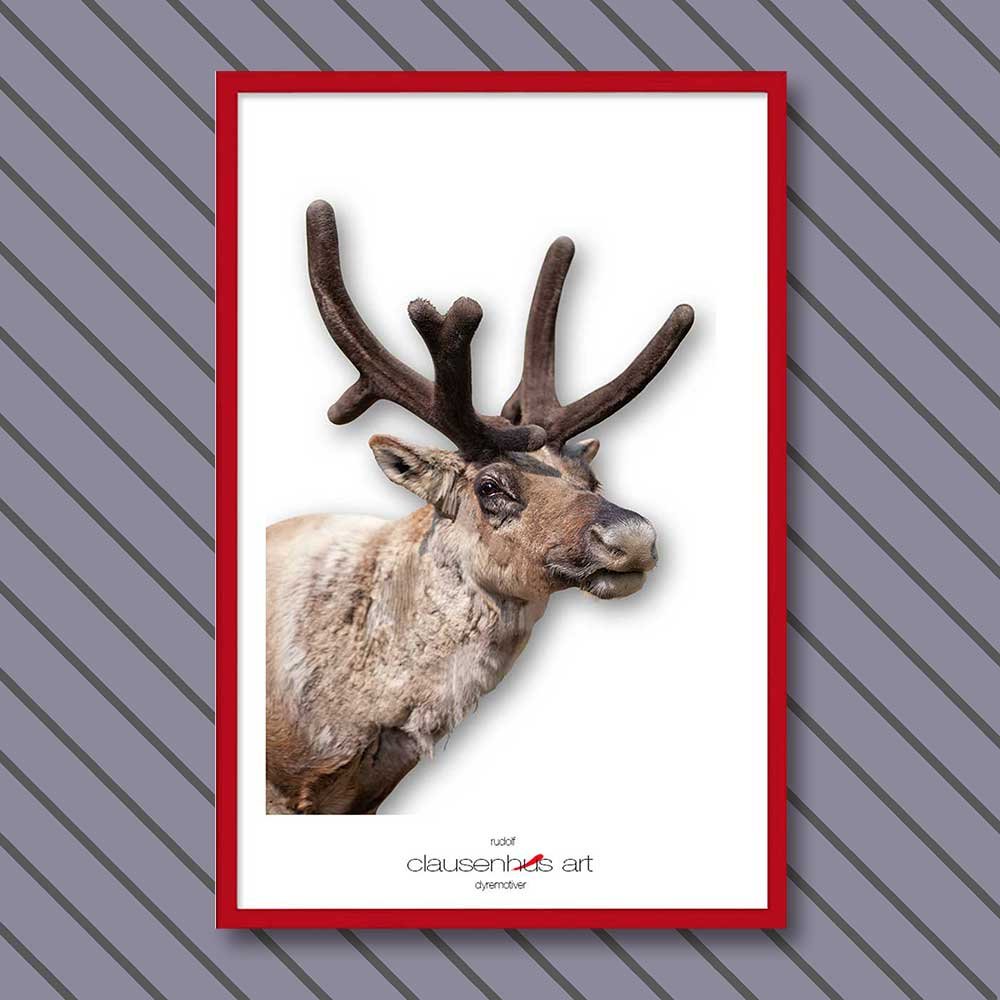rudolf-copy.jpg
