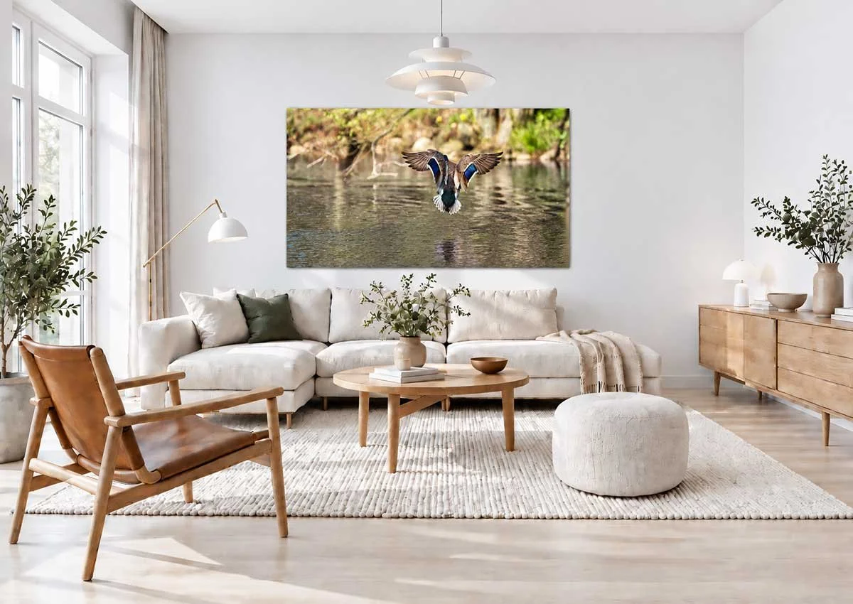 Scandinavian-Living-Room-with-Mallard-Art.jpg