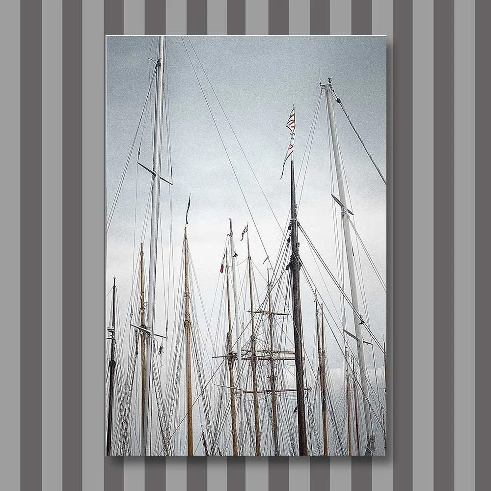 Titel: Marina Forest (Leinwand)