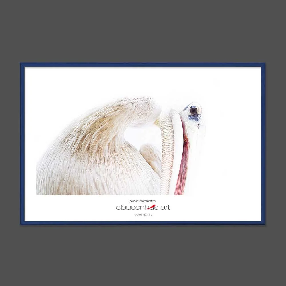 pelican-interpretation.jpg
