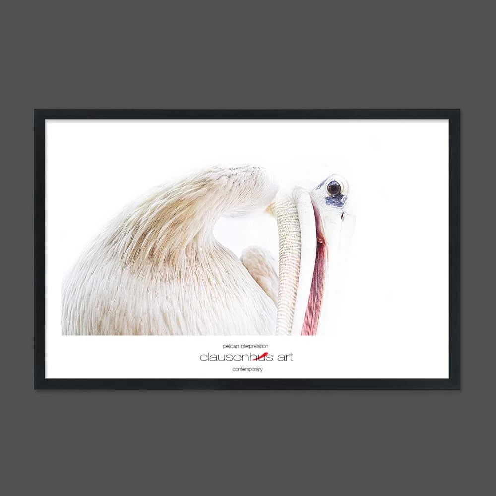 pelican-interpretation.jpg