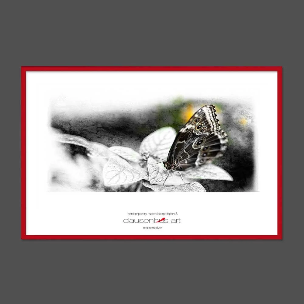 contemporary-macro-interpretation-3-copy.jpg
