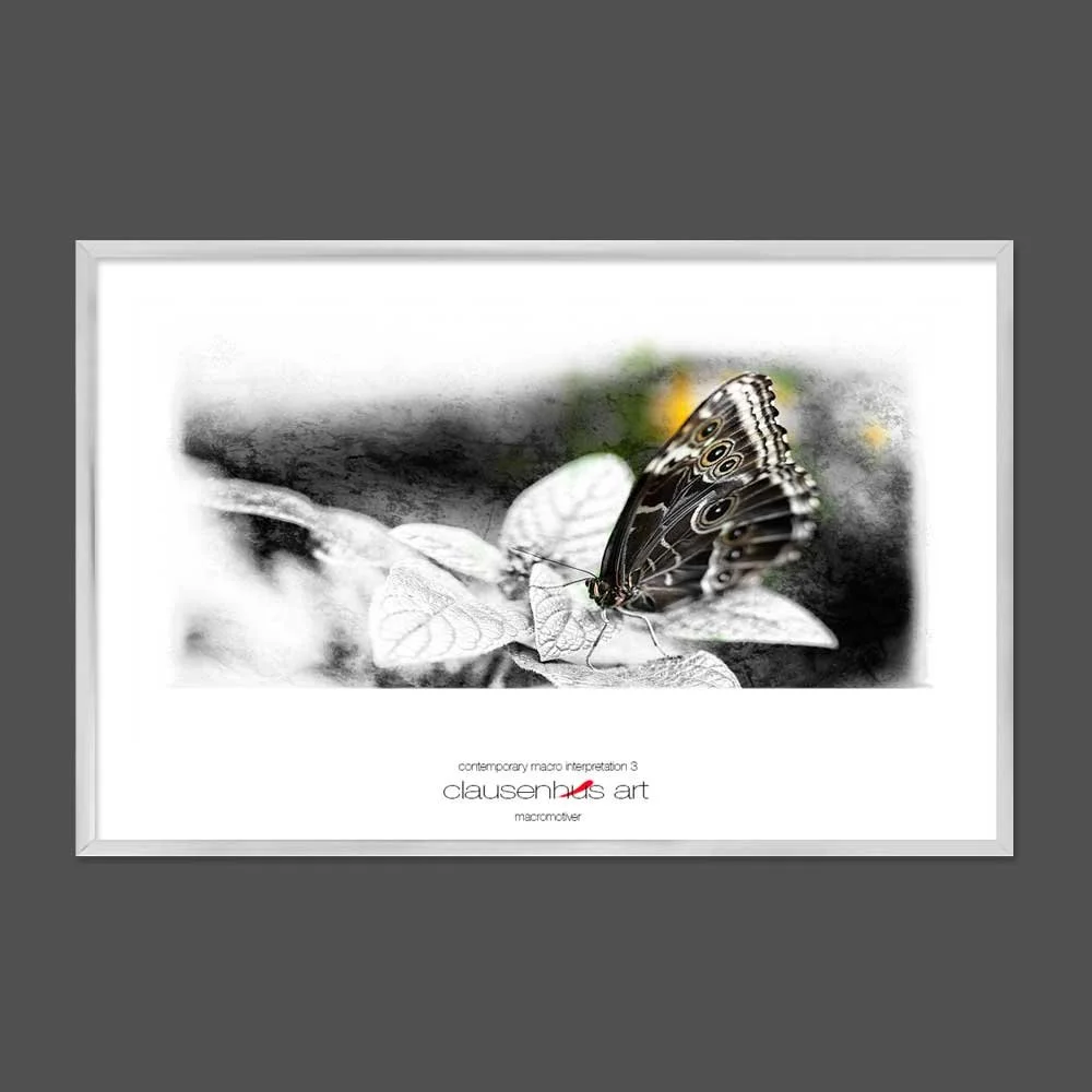 contemporary-macro-interpretation-3-copy.jpg