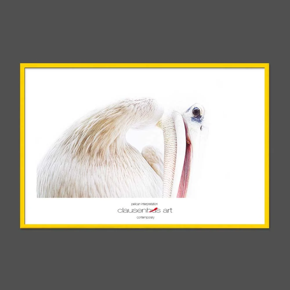 pelican-interpretation.jpg