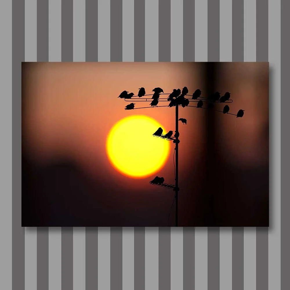 Titel: Vögel bei Sonnenaufgang (Leinwand)