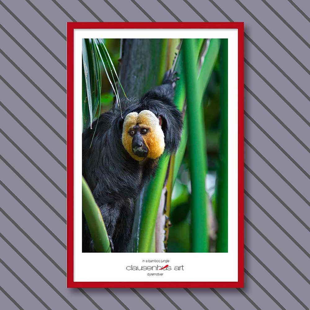 in-a-bamboo-jungle-copy.jpg