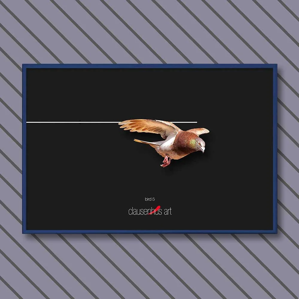 bird-5-copy.jpg