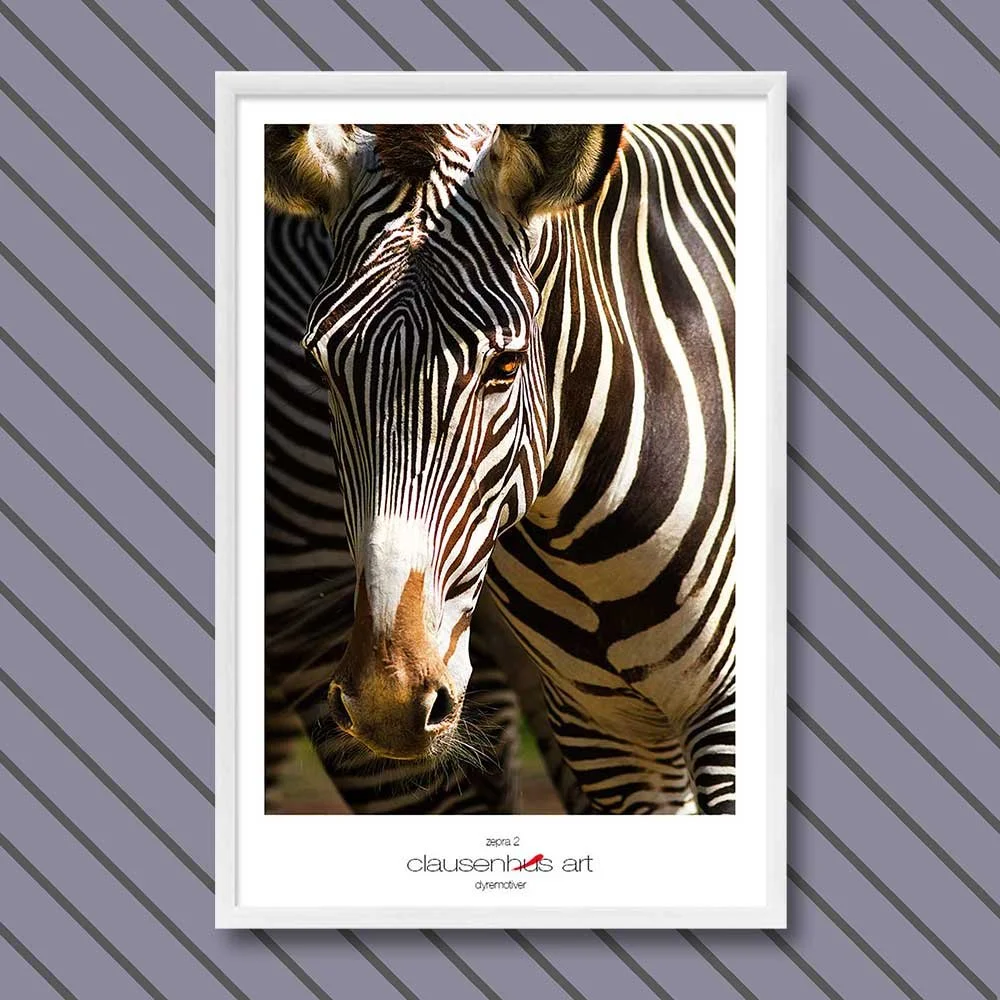 Titel: Zebra 2 (grafische Linie)
