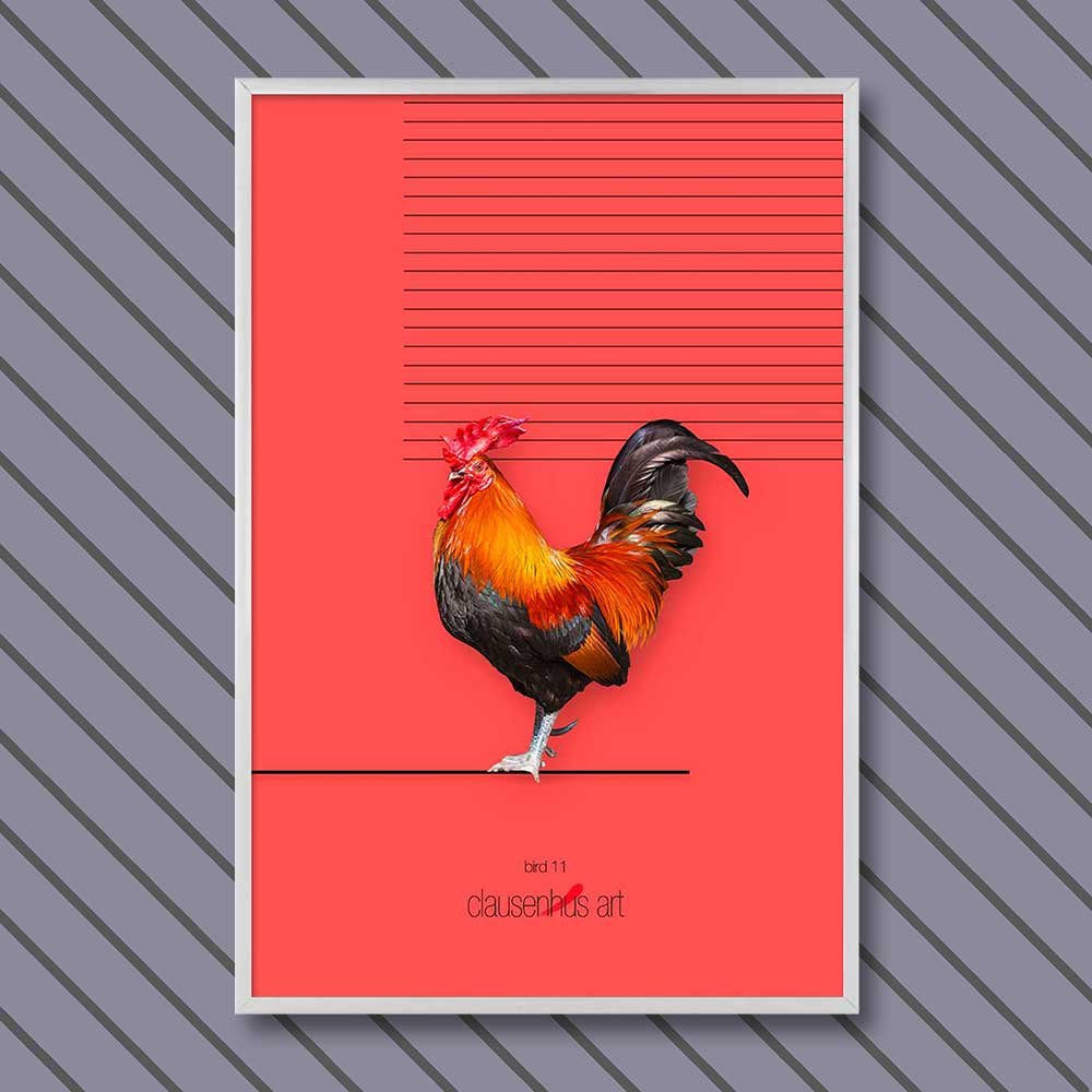bird-11-copy.jpg
