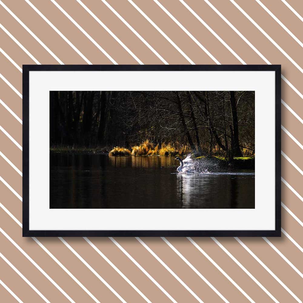 titel: morgendusche