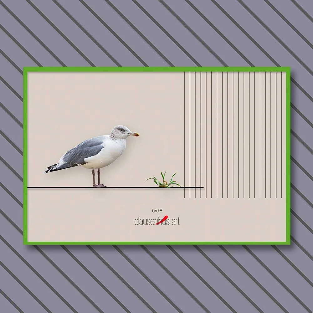 bird-8-copy.jpg
