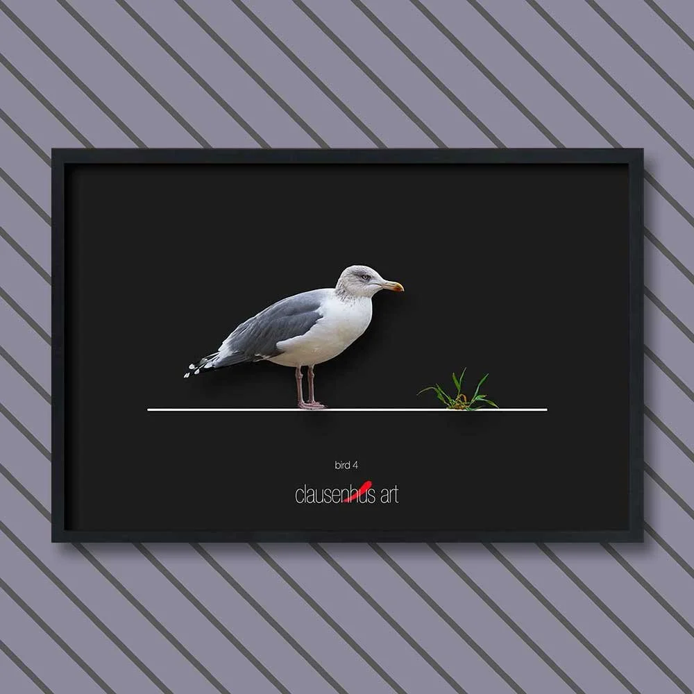 bird-4.jpg