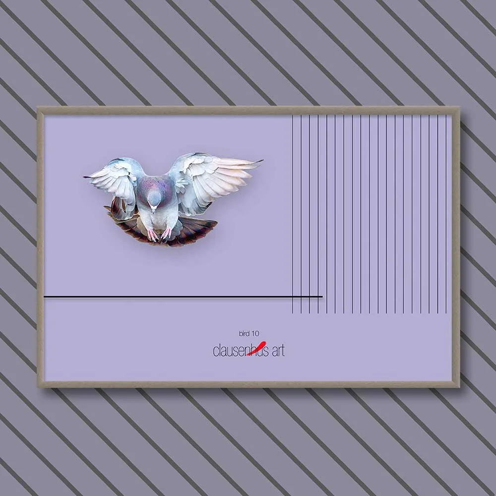 bird-10-copy.jpg