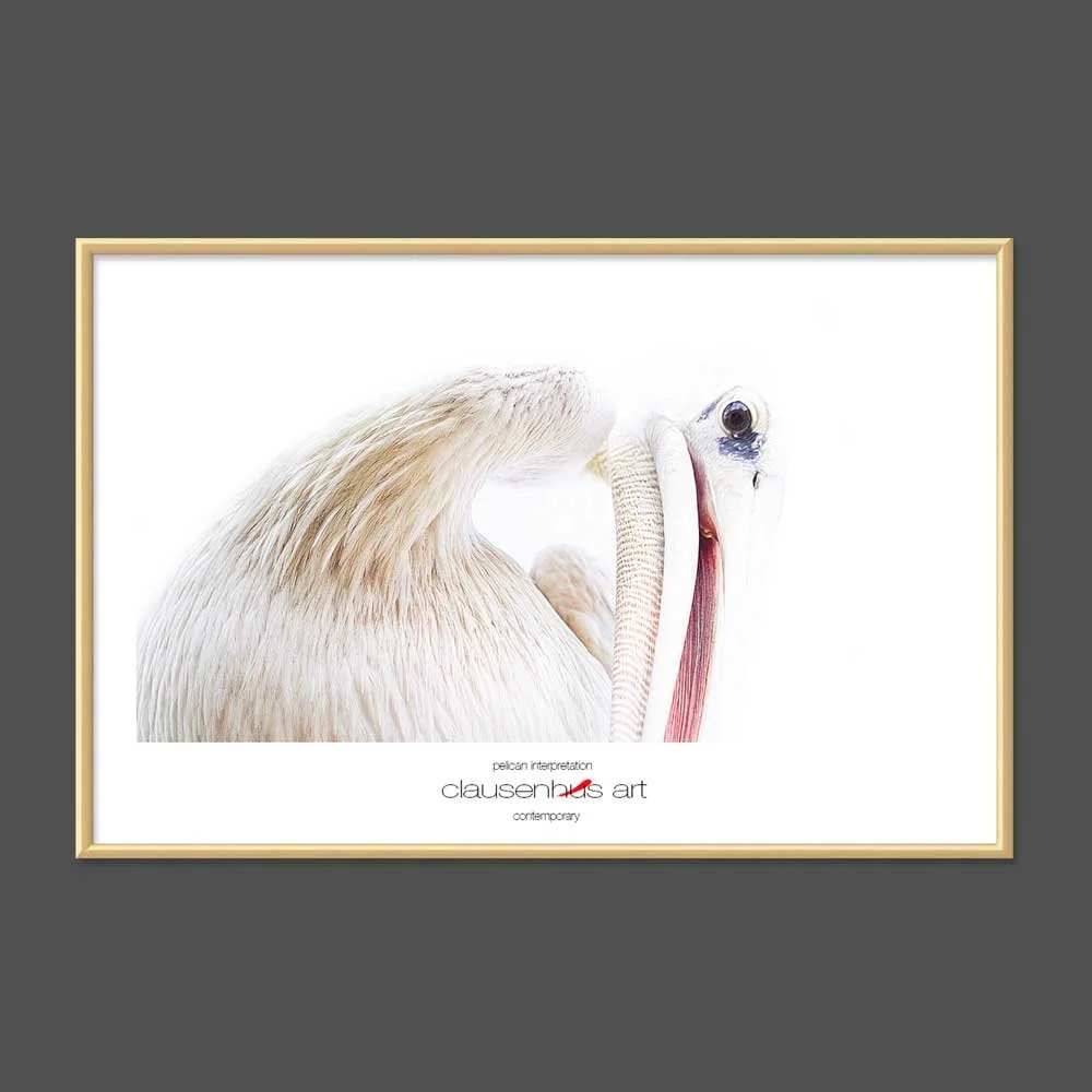 pelican-interpretation-copy.jpg