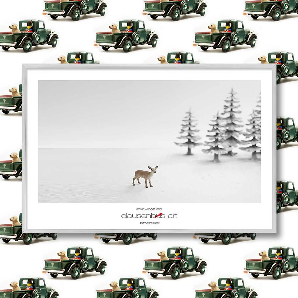 vinter-land-copy.jpg